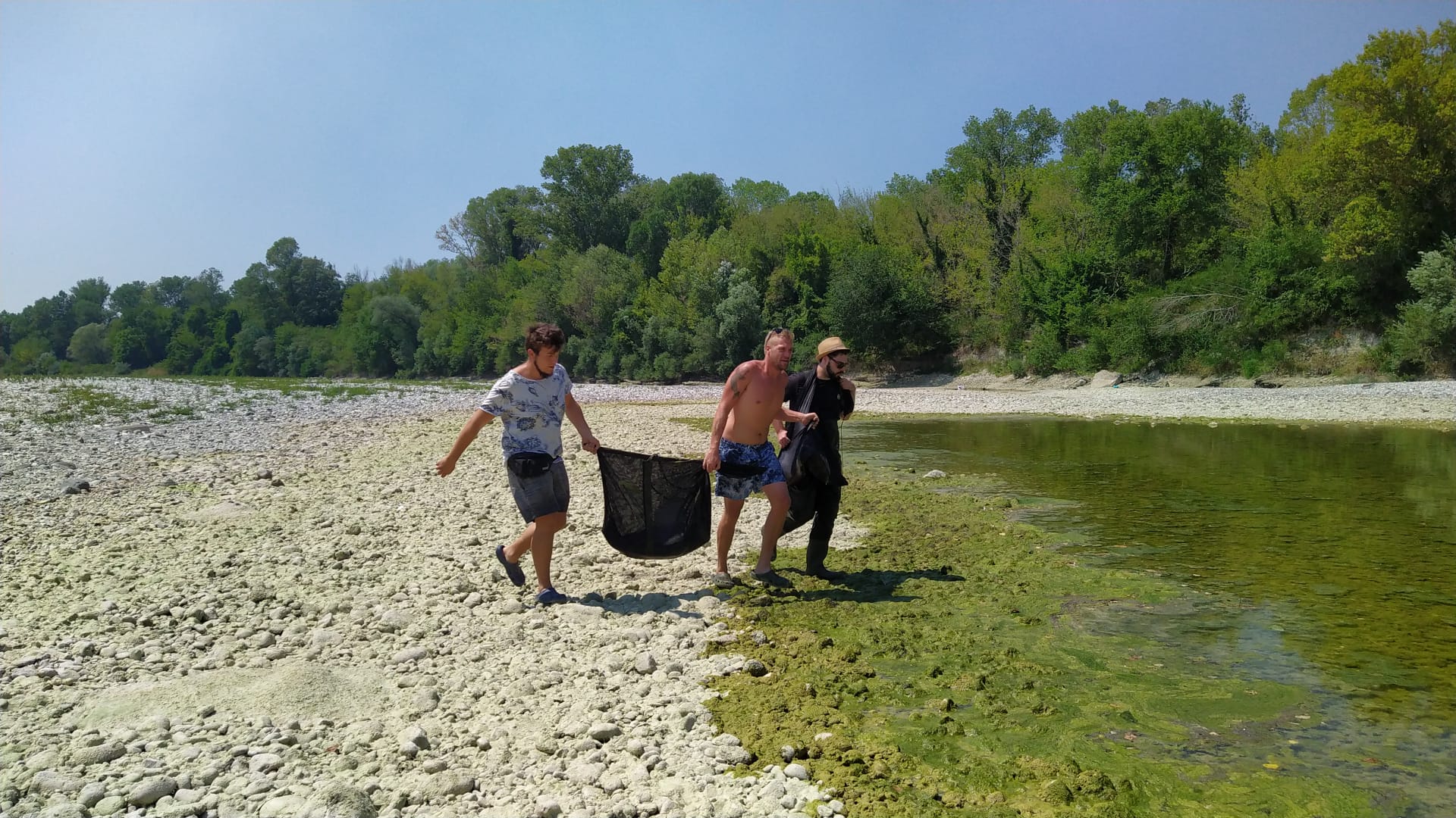 Immagine per Isonzo in secca, tonnellate di pesce spostate a nord di Gradisca